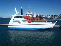 Đổ bộ Thủ công, Xe tăng rao bán