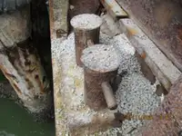 Sà lan để bán