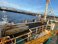 Chuyên chở khối lượng lớn rao bán