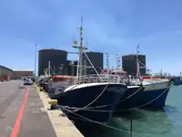 Longliner rao bán