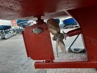 Tàu đánh cá để bán