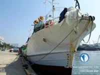 Tàu câu mực để bán