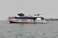 Tàu hai thân để bán