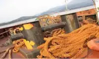 Tàu đổ bộ, chở hàng để bán