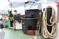 Tàu kéo để bán