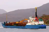 Tàu chở hàng rời để bán