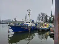 Tàu khảo sát để bán