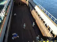 Tàu chở hàng rời để bán