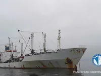 Tàu lạnh để bán