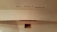 Tàu kéo lưới để bán
