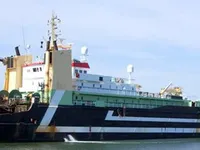 Tàu kéo lưới để bán