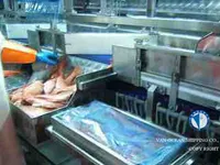 Tàu kéo lưới để bán