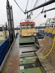 Tàu kéo lưới để bán