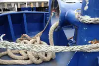 Tàu kéo để bán