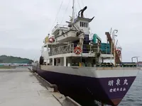 General Cargo/Multi-purpose để bán