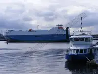 Tàu chở hàng rời để bán