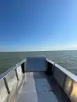 Tàu đổ bộ, chở hàng để bán