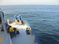 Tàu lạnh để bán