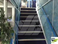 Tàu du lịch để bán