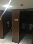 Tàu du lịch để bán