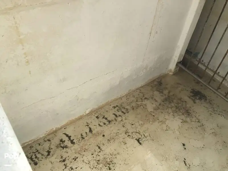 Tàu kéo lưới để bán