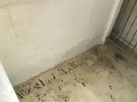 Tàu kéo lưới để bán