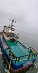 Tàu kéo để bán