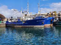 Trawler rao bán
