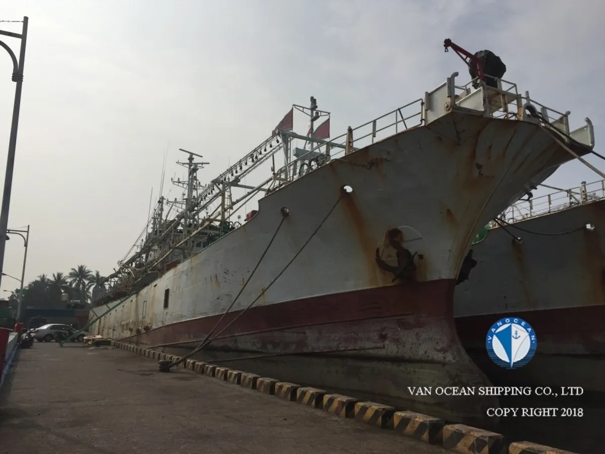 Tàu câu mực để bán