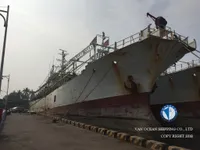 Tàu câu mực để bán