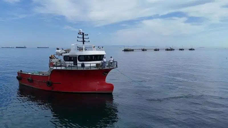 Tàu làm việc để bán