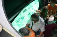 Tàu chở khách để bán
