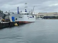 Longliner rao bán