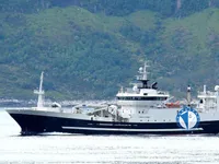 Tàu kéo lưới để bán