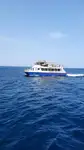 Catamaran rao bán