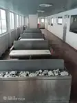 Tàu RoPax để bán