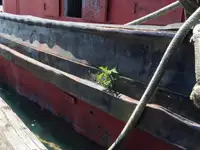 Tàu kéo để bán