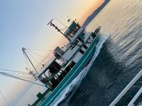Tàu lưới vây để bán