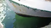 Tàu kéo lưới để bán