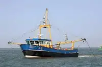 Tàu kéo lưới để bán