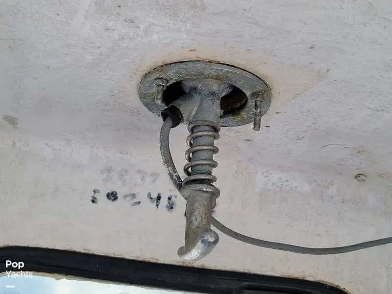 Tàu chế biến cá để bán
