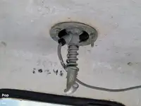 Tàu chế biến cá để bán