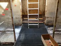 Tàu kéo lưới để bán