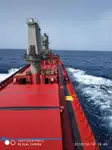 Tàu chở hàng rời để bán