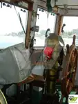Tàu kéo để bán