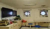 Tàu chở hàng rời để bán