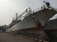 Tàu câu mực để bán