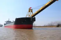 Chuyên chở khối lượng lớn rao bán