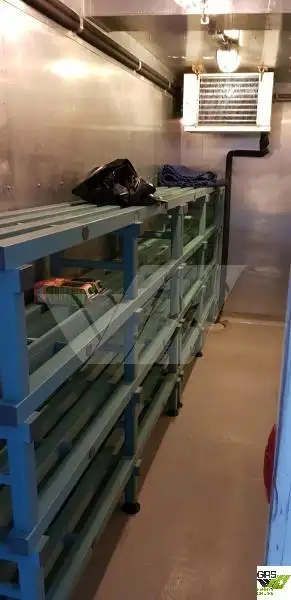 Tàu du lịch để bán