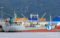 Tàu lạnh để bán